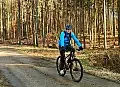 Czas się ruszyć na rower do lasu
